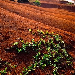 2022年PC游戏秀直播将于6月13日开始